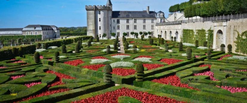Apartment Le Petit Cocon Tours