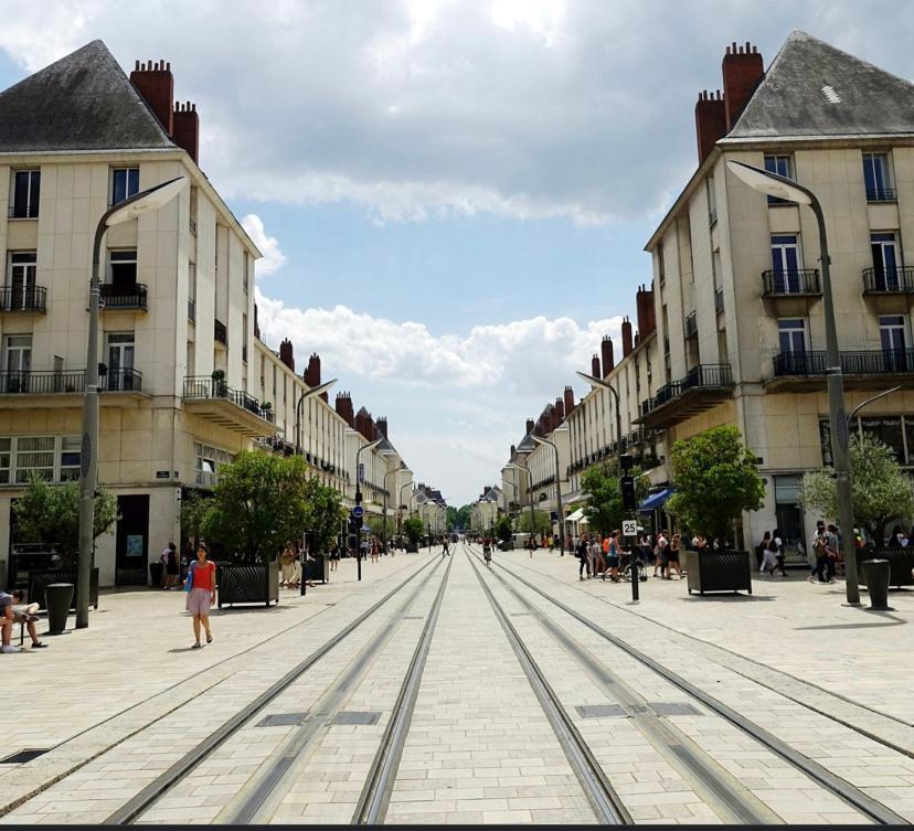 Le Petit Cocon * Tours
